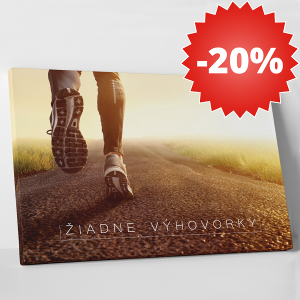 Žiadne výhovorky -  motivačný obraz (Kópia)