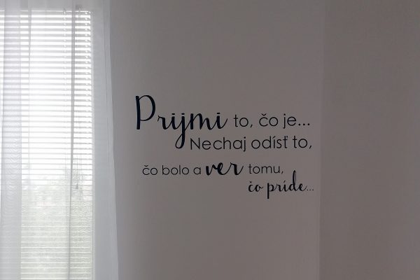 Prijmi to, čo je ... - nálepka na stenu - Image 4