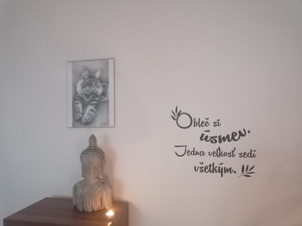 Obleč si úsmev - nálepka na stenu - Image 8