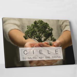 Ciele -  motivačný obraz