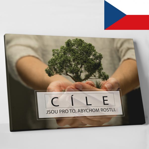 Cíle CZ - motivační obraz