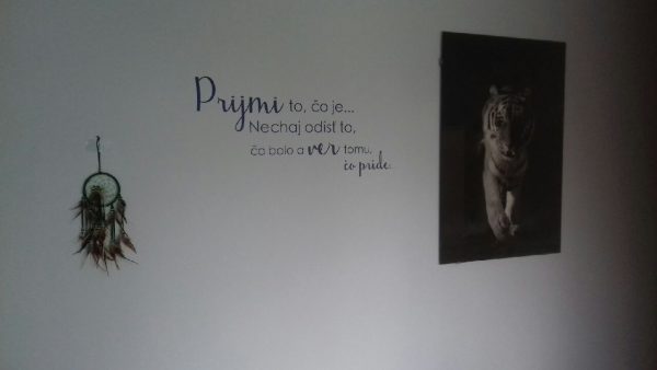 Prijmi to, čo je ... - nálepka na stenu - Image 5