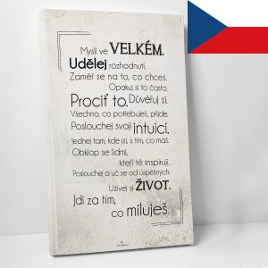 Jak být úspěšný CZ - motivační obraz