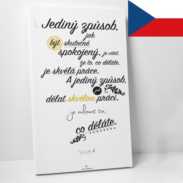 Jediný způsob CZ - motivační obraz