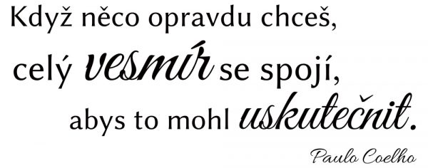 Když něco opravdu chceš CZ - nálepka na zeď - Image 2