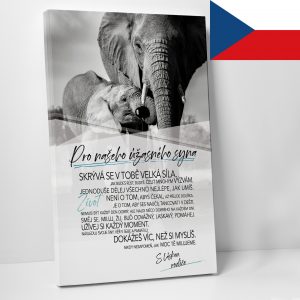 Pro úžasného syna CZ - motivační obraz
