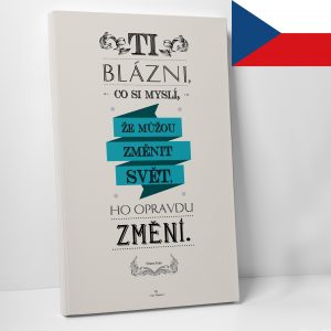 Ti blázni CZ - motivační obraz