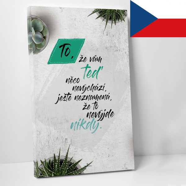 To, že vám CZ - motivační obraz