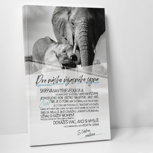 Pre úžasného syna - motivačný obraz
