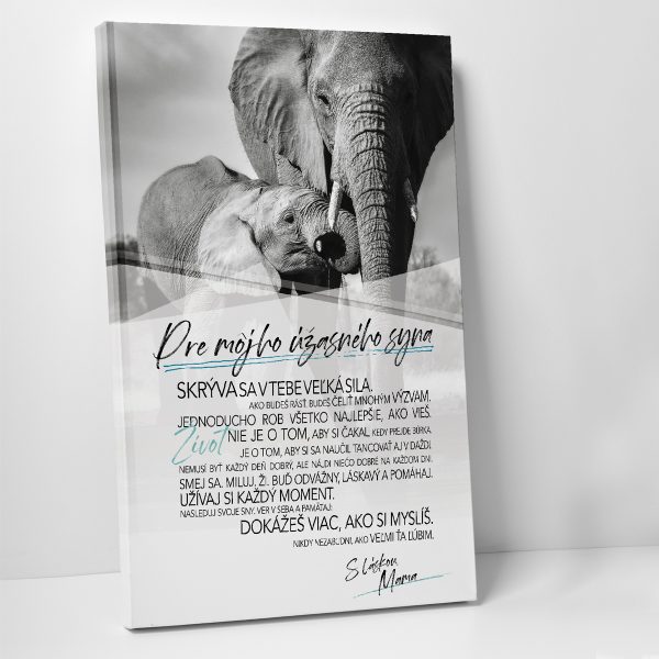 Pre úžasného syna - motivačný obraz - Image 6