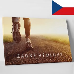 Žádné výmluvy CZ - motivační obraz