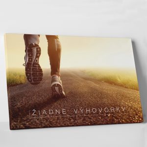 Žiadne výhovorky -  motivačný obraz